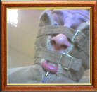 Click for full size image